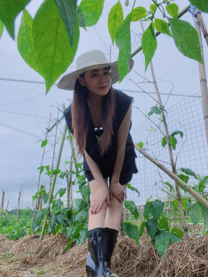 PJ雅阁Coco 002.jpg